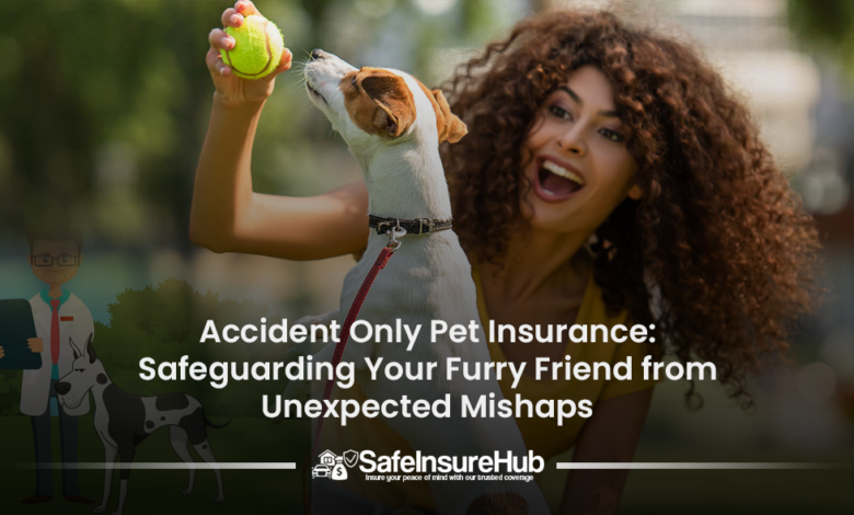 Accident Only Pet Insurance