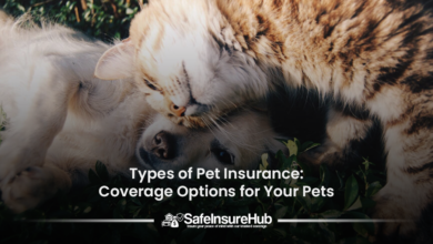 Types of Pet Insurance: Coverage Options for Your Pets