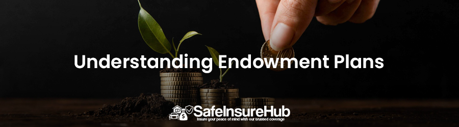 Understanding Endowment Plans