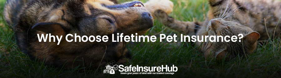 Why Choose Lifetime Pet Insurance?