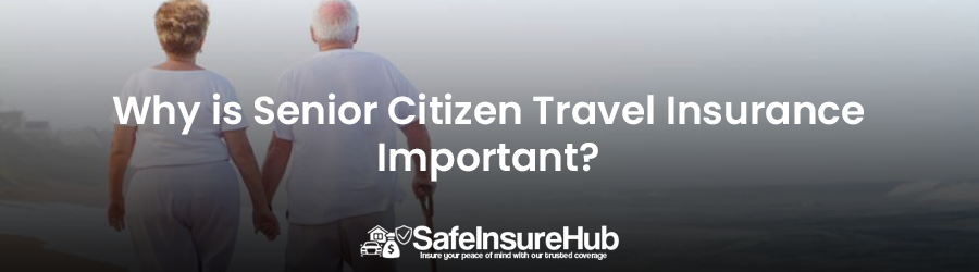 Why is Senior Citizen Travel Insurance Important?
